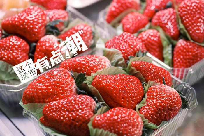 丹東：這一口鮮甜，開啟冬日“莓”好時光