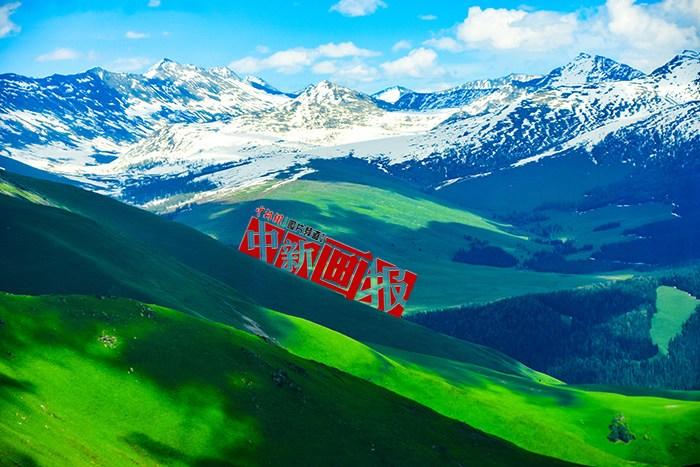 將夏天的“綠” 裝進(jìn)屏幕里，一組護(hù)眼壁紙請查收！
