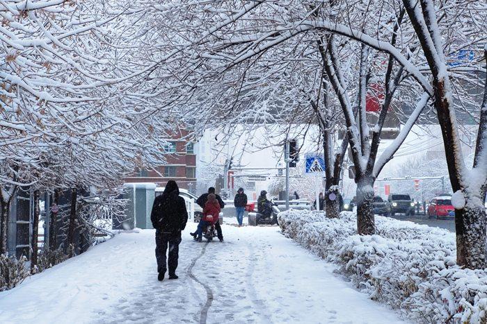 烏魯木齊迎大暴雪 24小時(shí)降水量破紀(jì)錄