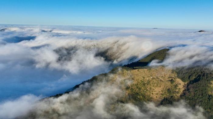 “華中屋脊”神農架雨歇云海生