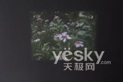 ��D�錦��ǰ���҈D�錦����