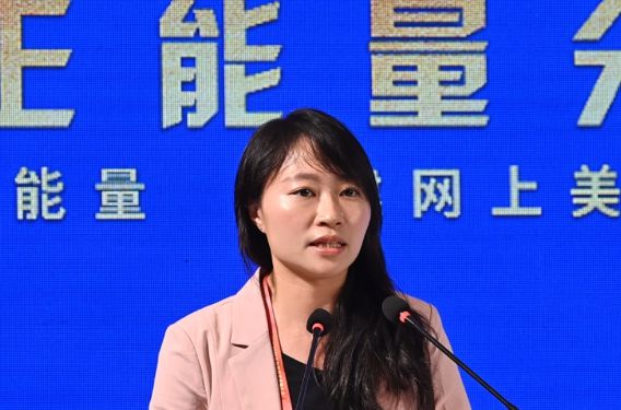 香港立法會(huì)議員陳穎欣：為國(guó)家發(fā)聲，展現(xiàn)真實(shí)的香港