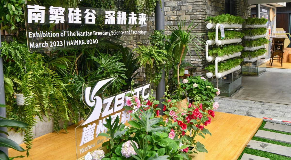 三亞攜南繁果實(shí)、深海利器亮相博鰲亞洲論壇年會