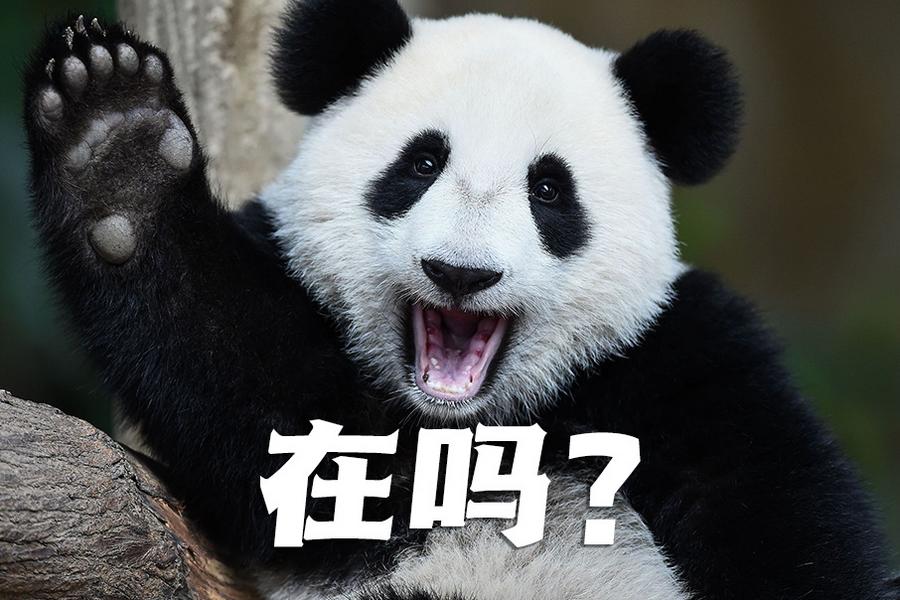 【世界微笑日特刊】嘿嘿，今天你笑了嗎？